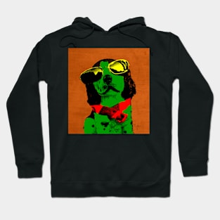 FUNNY DOG Green Red Hoodie